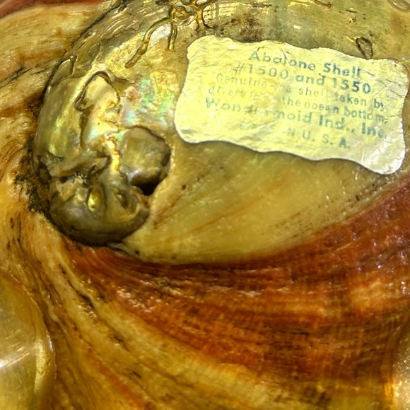 Genuine Abalone Shell Footed Bowl from the 1960's - Picture 12 of 12